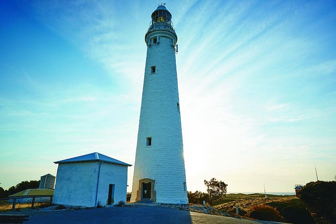 Rottnest Bayseeker Bus Tour from Hillarys Boat Harbour - Rottnest From Hillarys: A low-effort way to get the big moments