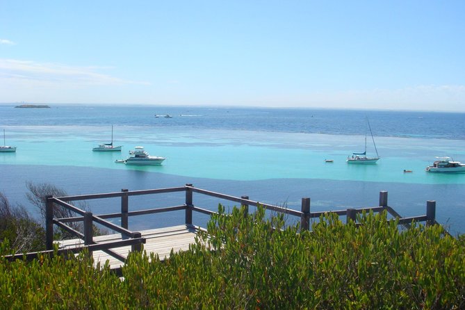 Rottnest Bayseeker Bus Tour from Hillarys Boat Harbour - Hillarys Boat Harbour: use the 30 minutes for an easy snack or a reset