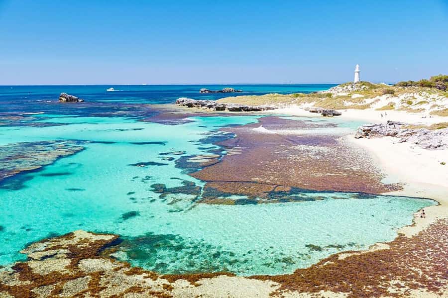 Rottnest Fortress Adventure Segway Package - Bickley Battery gun emplacements and Jubilee lookout: military sites you can actually see