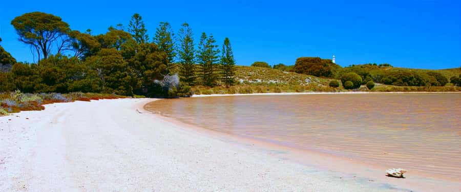Rottnest Grand Island Package with Ferry, Tour & Light Lunch - Getting Oriented at Rottnest Settlement: Your Timing Matters