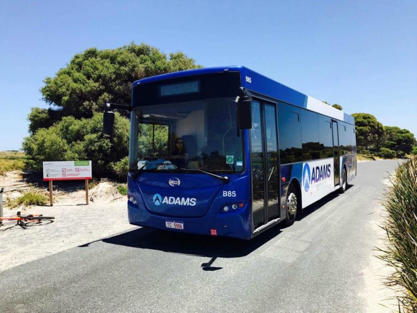 Rottnest Grand Island Package with Ferry, Tour & Light Lunch - Oliver Hill Guns and Tunnel Tour: Where the History Gets Real