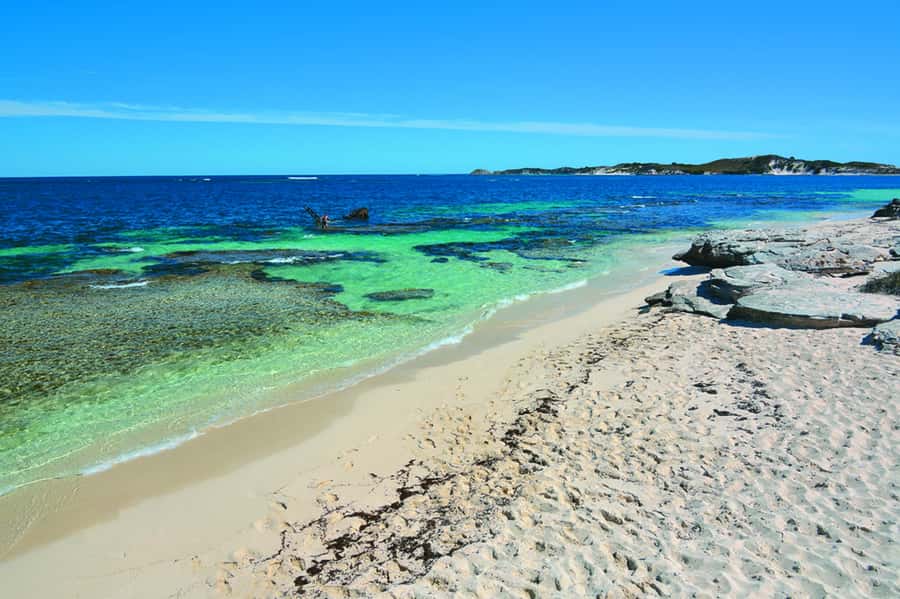 Rottnest Grand Island Package with Ferry, Tour & Light Lunch - Price and Value: Is $138 Worth It?
