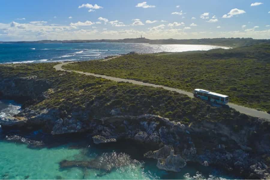 Rottnest Island 1.75 Hour Bayseeker Island Tour - Mabel Cove and Jeannies lookout: your best return on time