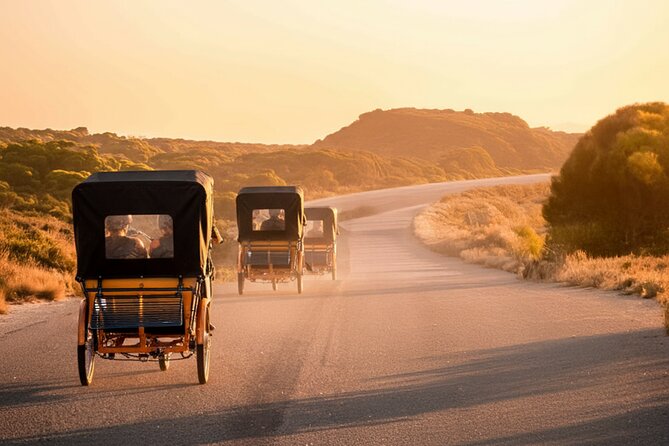 Rottnest Island 90-minute E-Rickshaw Adventure with Tour Guide - Parker Point: the turquoise-coast stop that sets the mood