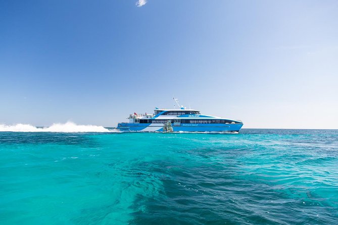 Rottnest Island Bayseeker Day Trip from Fremantle - Key Things You Should Know Before You Go