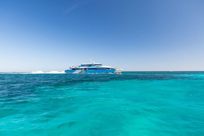 Rottnest Island Bayseeker Day Trip from Perth - Rottnest Island Free Time: Quokkas First, Plans Second