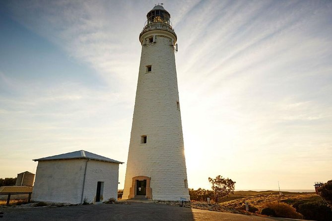 Rottnest Island Bayseeker Day Trip from Perth - Return Ferry Timing: How To Avoid Feeling Crunched