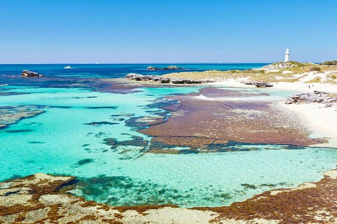Rottnest Island Bayseeker Day Trip from Perth - The Bayseeker Bus Tour: A Smart Way To Hit Lighthouse, Seals, WW2, And More
