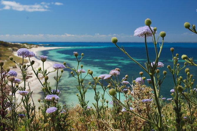 Rottnest Island Bayseeker Tour - Key points to know before you go