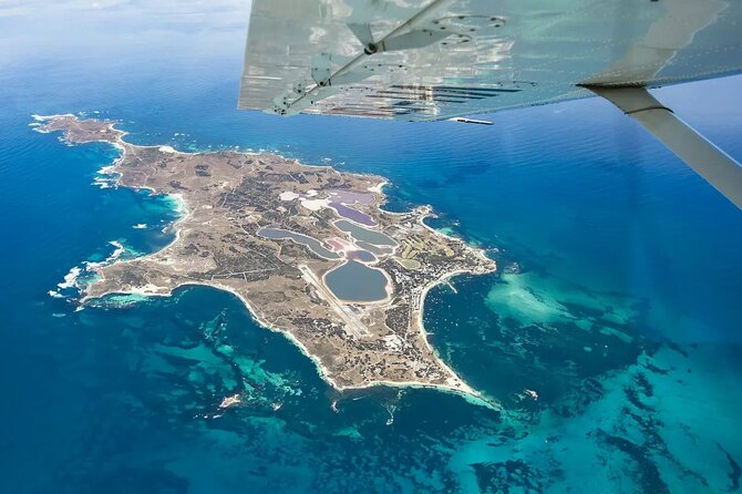 Rottnest Island Bayseeker Tour - Seals at Cathedral Rocks and shipwreck sightings on the way