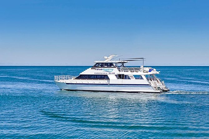 Rottnest Island Boat Dive Day Trip including Lunch - Key Highlights You’ll Care About