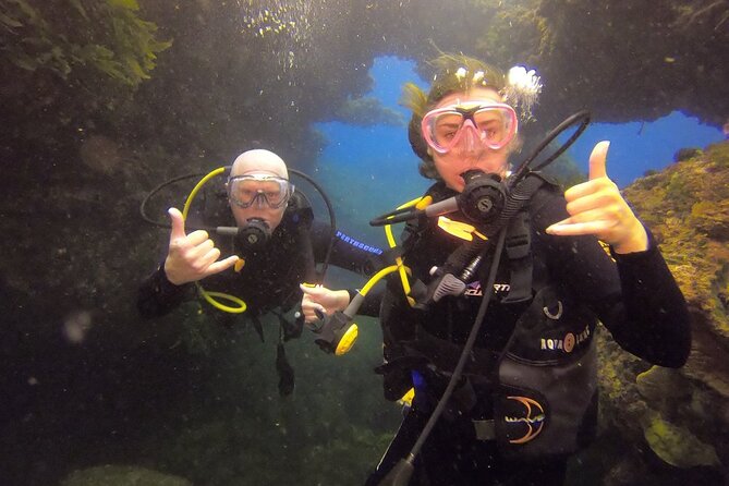 Rottnest Island Boat Dive Day Trip including Lunch - Why the Limestone Caverns and Swim-Throughs Feel Special