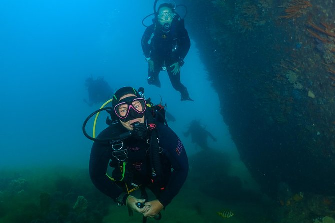 Rottnest Island Deep Dive Day Trips - Rottnest Island and the Underwater World: Why This Area Is Worth the Early Start