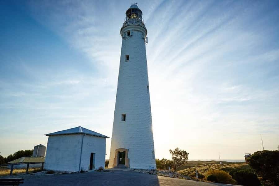 Rottnest Island Ferry and 1.75 Hr Bus Tour - Henrietta Rocks and Mabel Cove: Where the Coastal Scenery Shows Off