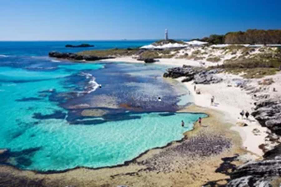 Rottnest Island Ferry and 1.75 Hr Bus Tour - Free Time After the Tour: How to Plan Your Afternoon Like a Pro