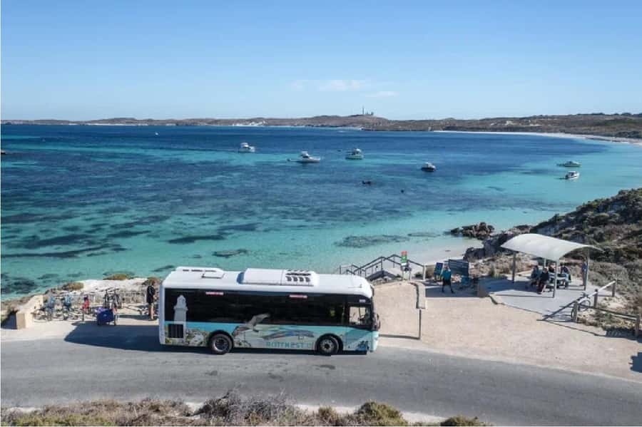 Rottnest Island Ferry and 1.75 Hr Bus Tour - The Air-Conditioned 1.75-Hour Bus Tour: Comfort Plus a Smart Route