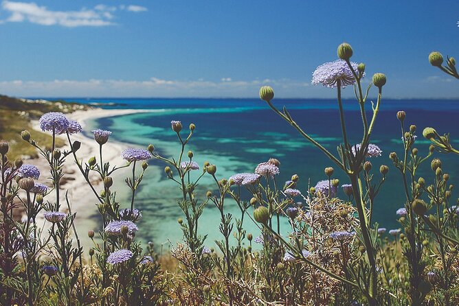 Rottnest Island Full-Day Trip With Guided Island Tour From Perth - Key Highlights I’d Prioritize