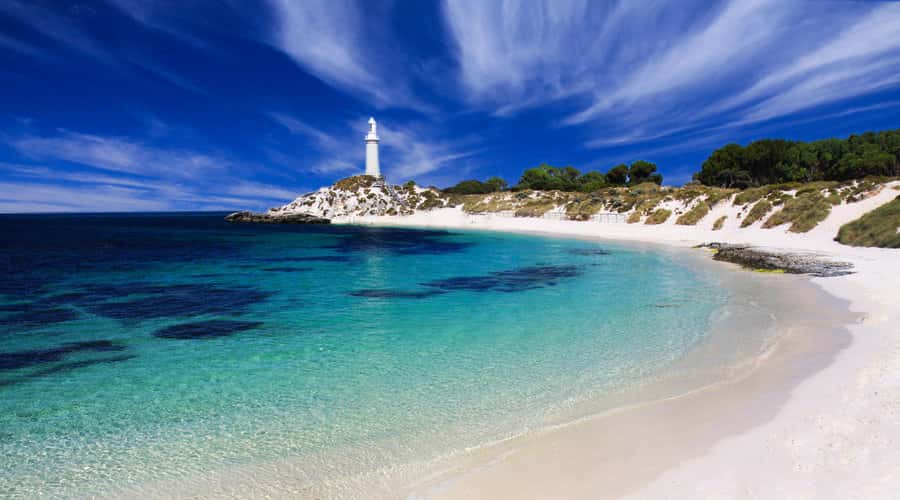 Rottnest Island: Grand Bus and Train Tour with Lunch - Why a Grand Bus and Train Tour Makes Sense on Rottnest