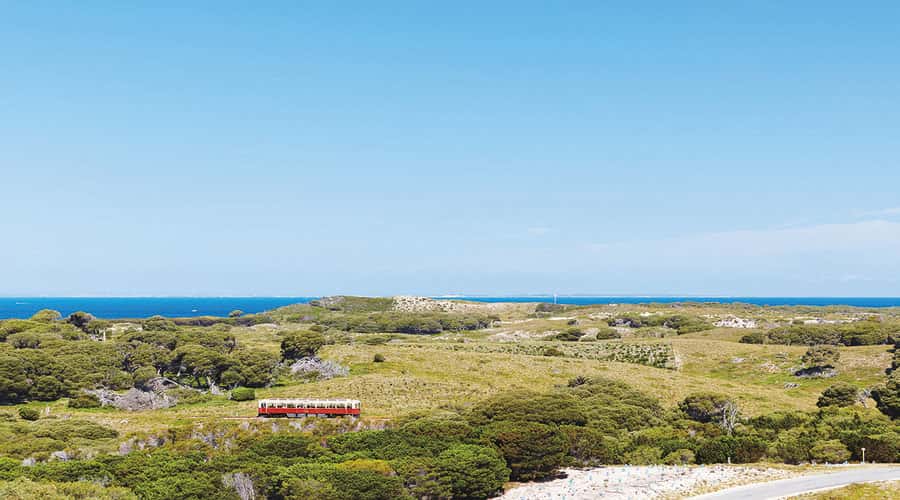 Rottnest Island: Grand Bus and Train Tour with Lunch - Lunch on Rottnest: Wrap and Cookie, Dietary Flexibility, and Timing