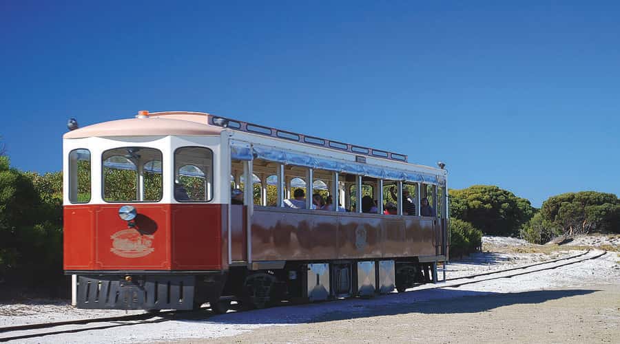 Rottnest Island: Grand Bus and Train Tour with Lunch - Getting Oriented: Settlement Railway Station and a 4-Hour Rhythm