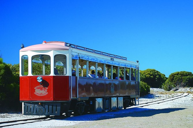 Rottnest Island Grand Tour Including Lunch and Historical Train Ride - Rottnest in One Half Day: how the bus-and-train loop works
