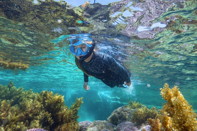 Rottnest Island Guided Snorkel Boat Experience - The Boat: 17 Meters Makes a Difference