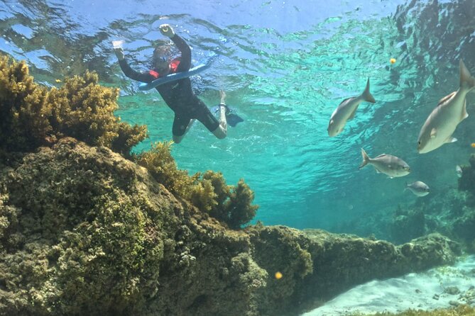 Rottnest Island Guided Snorkel Boat Experience - Safety and Comfort: What to Expect On Board