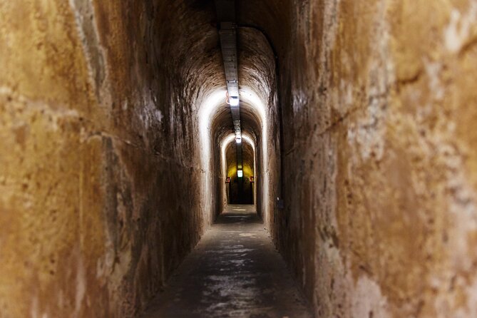 Rottnest Island Historical Train and Tunnel Tour from Hillarys Boat Harbour - Price and value at $93.24: when it’s a smart buy