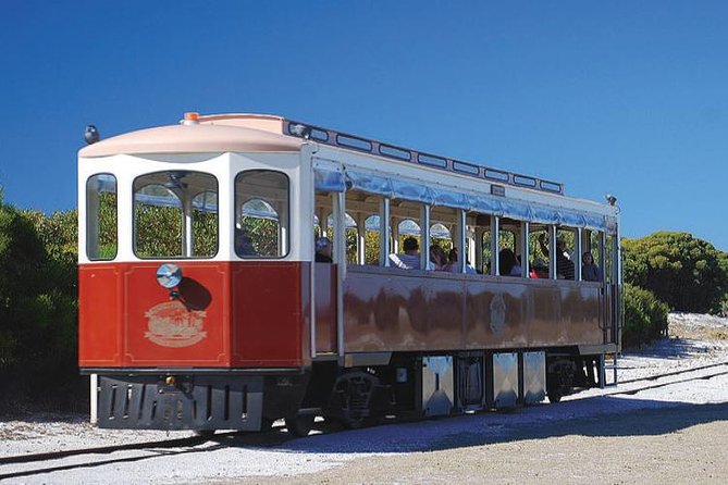 Rottnest Island Oliver Hill Train & Tunnel Tour - Captain Hussey Train Comfort: Seeing Rottnest Without the Chaos