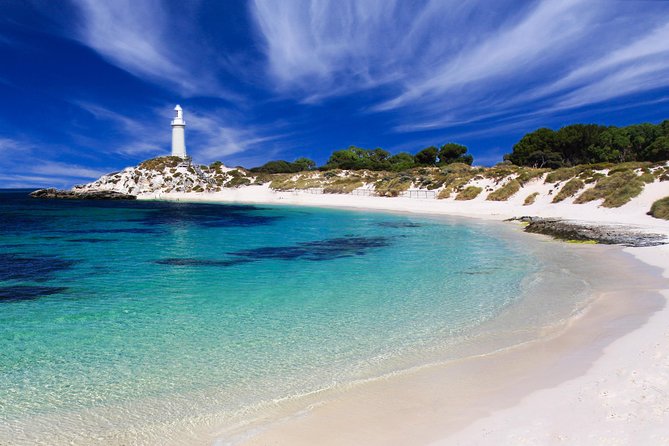 Rottnest Island Oliver Hill Train & Tunnel Tour - Who This Tour Suits Best (and Who Should Rethink It)