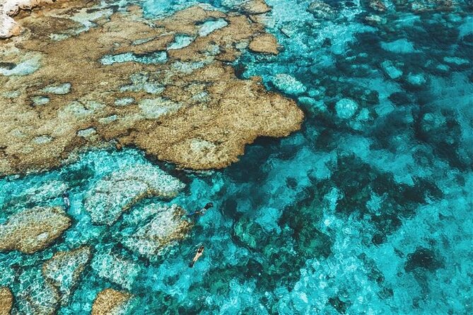 Rottnest Island Round Trip Ferry from Fremantle - Key Points at a Glance