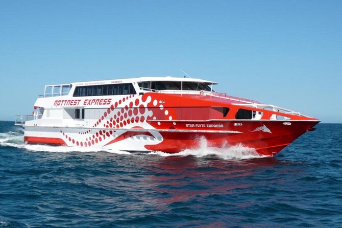 Rottnest Island Round-Trip Ferry from Perth - Rottnest Arrival: Beaches, Bays, and Your First 30 Minutes