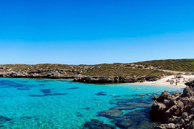 Rottnest Island Roundtrip Fast Ferry from Hillarys Boat Harbour - Getting Around: Bikes, E-Bikes, and the Island Shuttle Reality