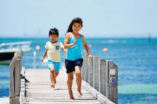 Rottnest Island Roundtrip Fast Ferry from Hillarys Boat Harbour - Your Day on Rottnest: Freedom with a Few Smart Anchors