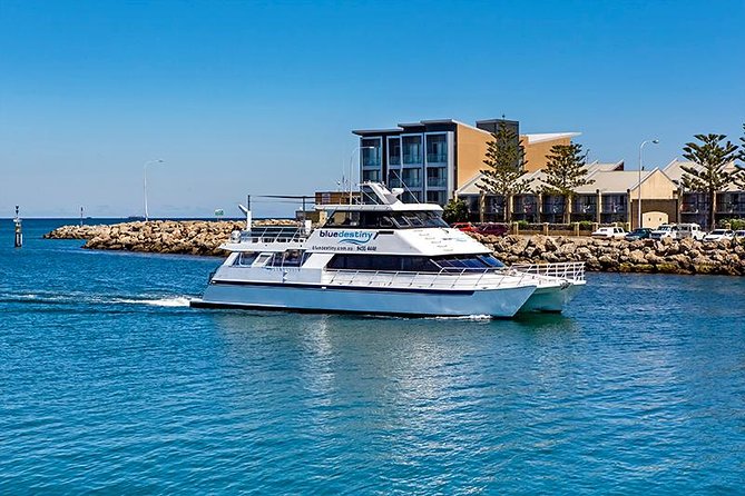 Rottnest Island scuba dive tour - Key points before you go