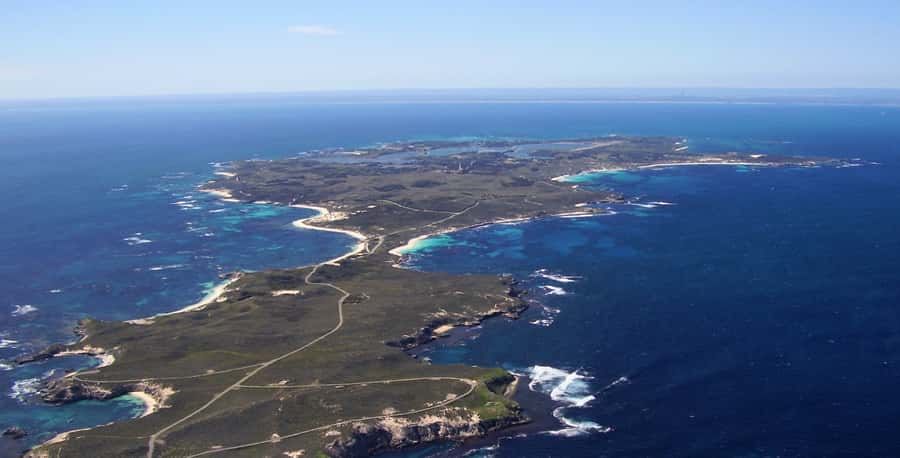 Rottnest Island Segway 1.5-Hour Fortress Adventure Tour - Riding the coastline: photo pauses and native wildlife moments