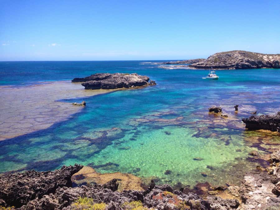 Rottnest Island Segway 1-Hour Settlement Tour - Who should ride—and who should skip this one