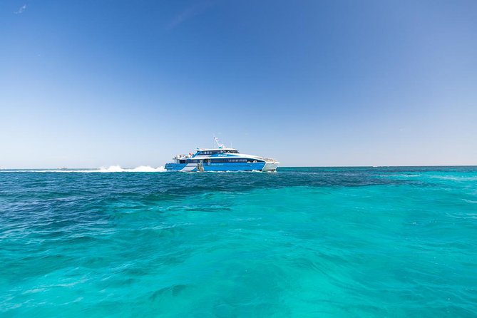 Rottnest Island Skydive Including Round Trip Ferry from Fremantle - Price and value: what you’re paying for (and what you still need to budget)