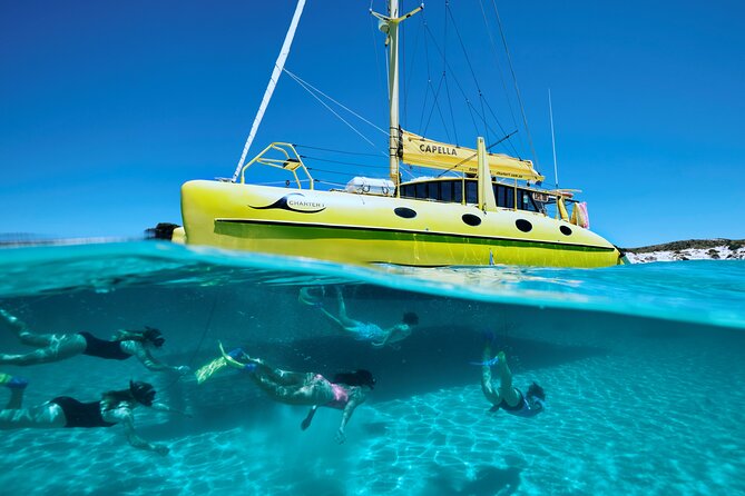 Rottnest Island 'Snorkel and Sail' - Price and Value: Is $125.52 Worth It?