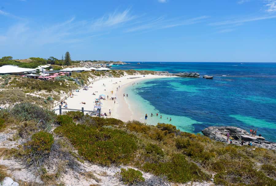 Rottnest Segway Coastal Explorer Tour - Key things I’d zero in on before you book