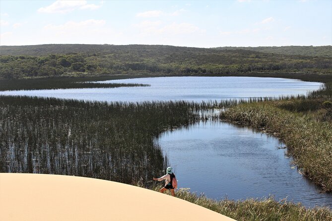 Royal National Park Private Tour - Bald Hill Lookout: The High Point for a Bigger Panorama