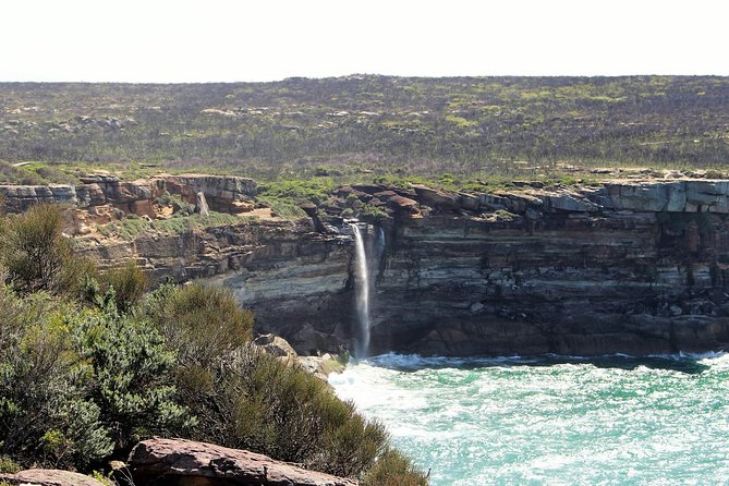 Royal National Park Private Tour - Sea Cliff Bridge: A Photo Spot That’s Worth the Detour
