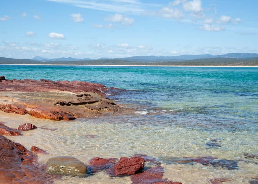 Sapphire Coast: 7h Shore Excursion with Aussie Morning Tea - Wildlife, kangaroos, and the small “just happened” moments