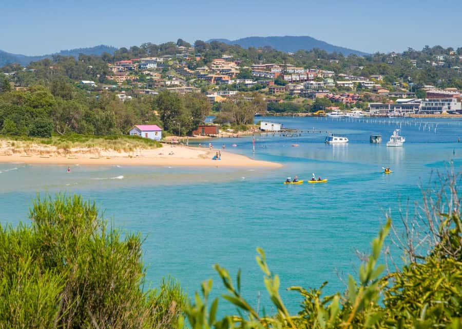 Sapphire Coast: 7h Shore Excursion with Aussie Morning Tea - How much walking should you plan for?