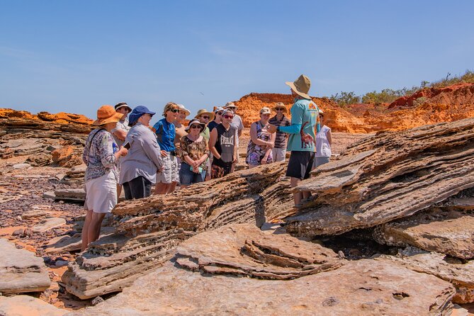 SCENIC AND PREHISTORIC CRUISE - Sparkling Wine & Gourmet Platters - Dampier Creek cruise: the “slow down and look” part