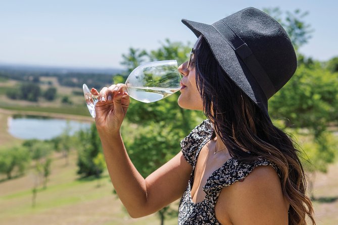 Scenic Hunter Valley Tour with Wine and Cheese Tastings - Practical Tips for Planning Your Day