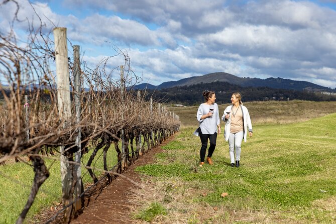 Scenic Hunter Valley Tour with Wine and Cheese Tastings - 7:00 AM From Sydney: Harbour Bridge First, Then Wine Country