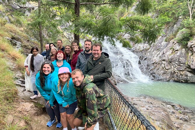 Scenic Rim Explorer - Hop-on Mount Tamborine: 4 hours to explore your way
