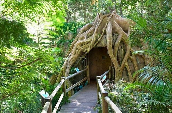Scenic Rim Explorer - Glow worm caves at Cedar Creek Estate: why the timing matters