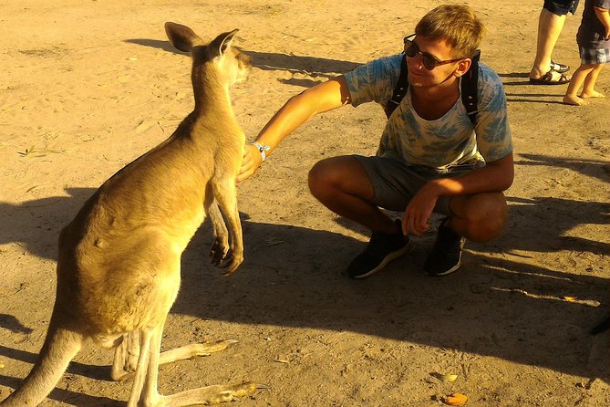 Scooter Wildlife & Sunset Tour - Who This Tour Is Best For (and who should think twice)